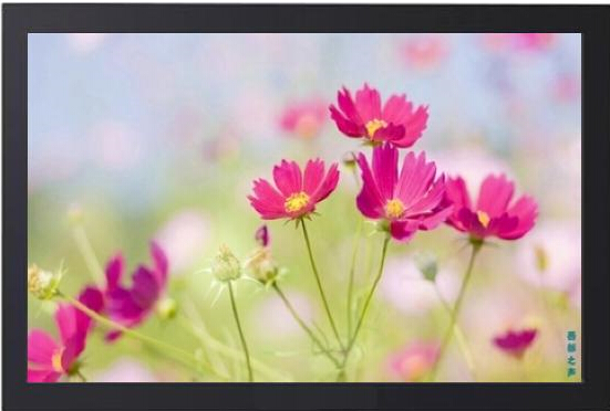 22寸液晶監(jiān)視器VA22-L30